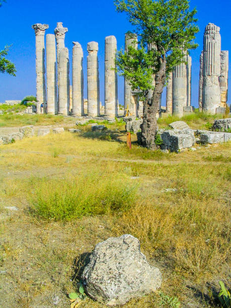 メルスィン、トルコ (uzuncaburc とも呼ばれる) の diocaesarea 神殿 - uzuncaburc temple roman mediterranean culture ストックフォトと画像