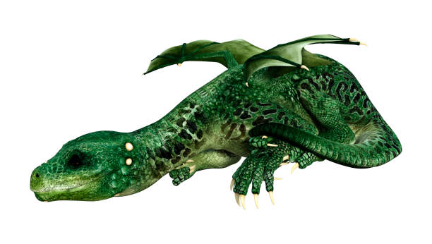istock 3D illustration fantasy dragon on white 1070977436