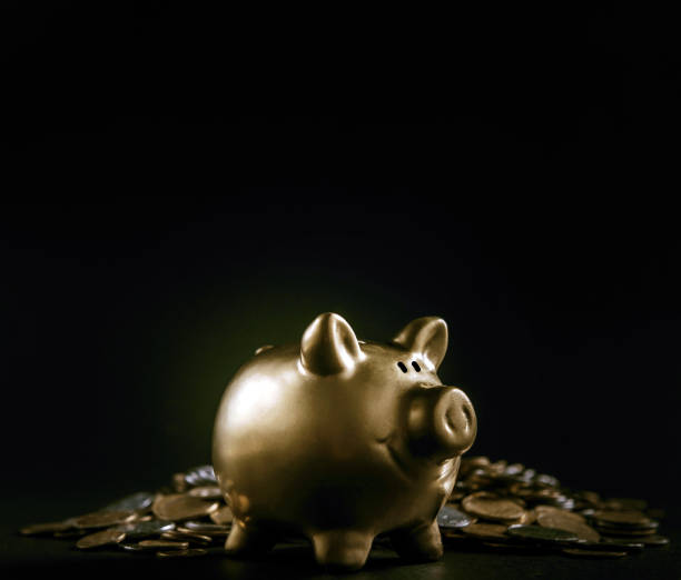 istock Luxury golden pig money box 1070980180