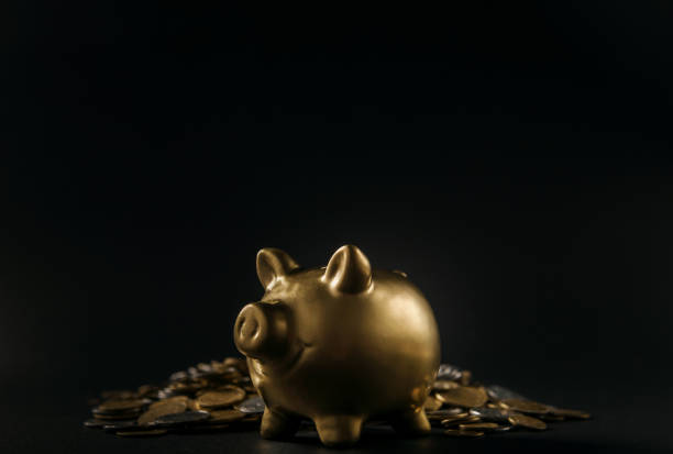 istock Luxury golden pig money box 1070980192