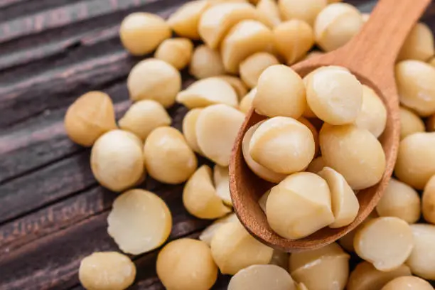 Photo of delicious macadamia nuts on a wooden rustic background