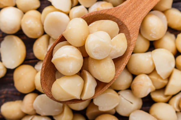 istock delicious macadamia nuts on a wooden rustic background 1070980916
