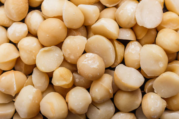 istock delicious macadamia nuts on a wooden rustic background 1070981198