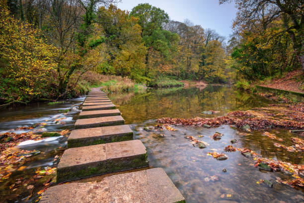 istock River Blyth Stepping Stones at Humford Woods 1070994298