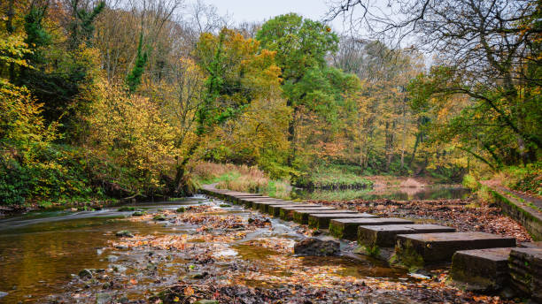 istock Stepping Stones in River Blyth at Humford Woods 1070994308