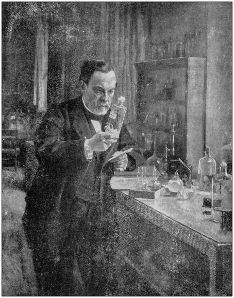 ilustrações, clipart, desenhos animados e ícones de fotografia antiga: louis pasteur em seu laboratório - 1900 century