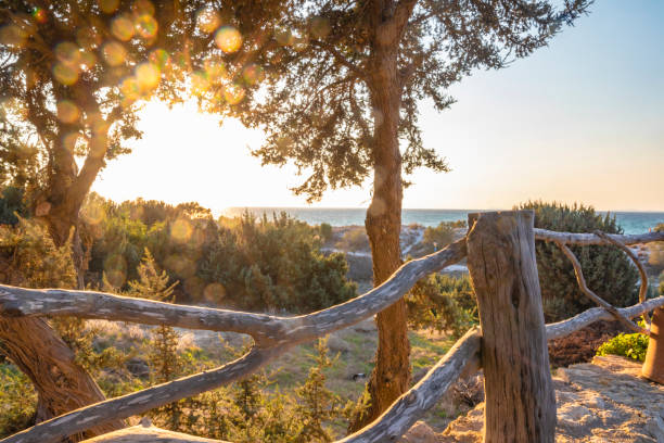 Summer landscape with Ayia Napa cityscape and Pernera beach, Cyprus.