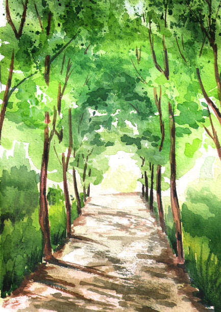 аллея зеленых деревьев, освещенная солнцем, со светом в конце туннеля. акварель ручной нарисованной вертикальной иллюстрацией - forest footpath nature tree stock illustrations