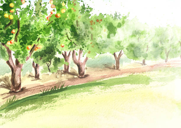 illustrations, cliparts, dessins animés et icônes de jardin d’apple en perspective. fond aquarelle dessiné à la main - paintings watercolor painting landscape autumn