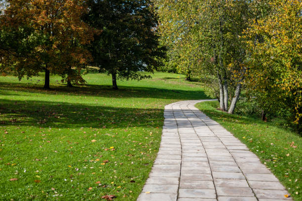 istock simple countryside forest road in perspective 1071011336