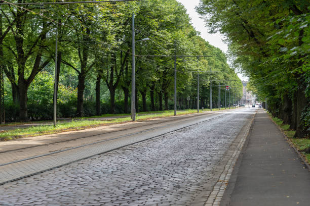 istock simple countryside forest road in perspective 1071011558