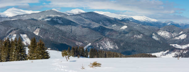istock Winter snowy Carpathian mountains, Ukraine 1071013606