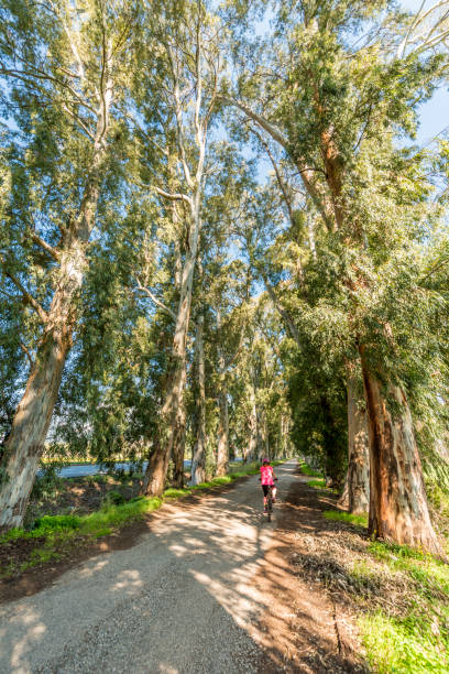 Happy woman walking on road  both sides covered with trees.