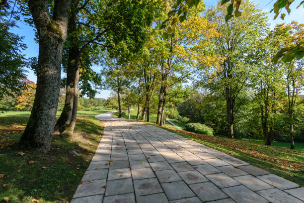 istock simple countryside forest road in perspective 1071016132