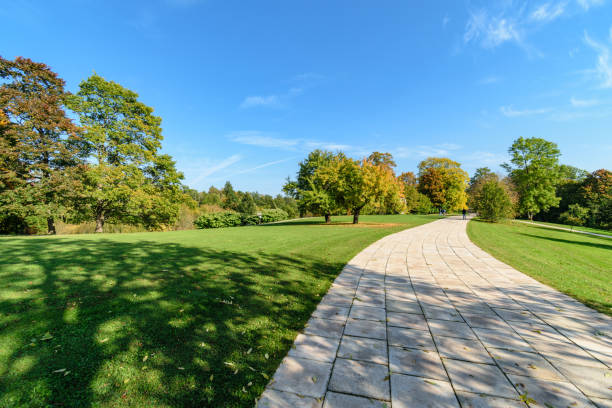istock simple countryside forest road in perspective 1071016140