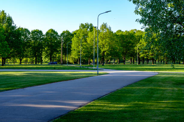 istock simple countryside forest road in perspective 1071016550