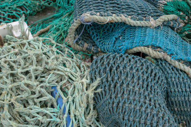 istock Colorfull fish nets in Guilvinec harbor 1071020748