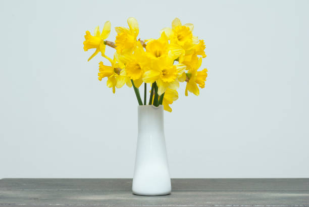 istock Bunch of narcissus 1071025352