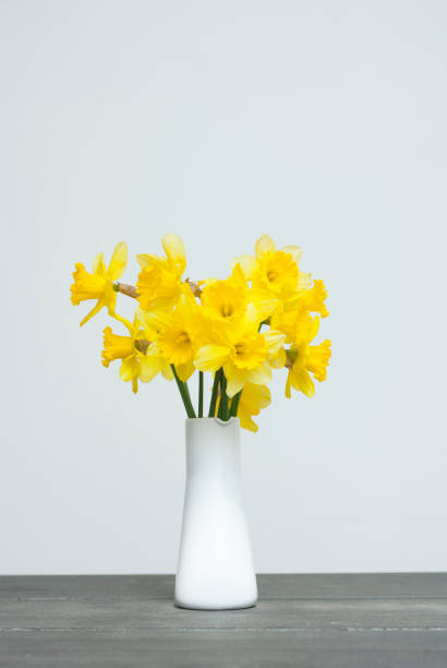daffodils on black wooden table