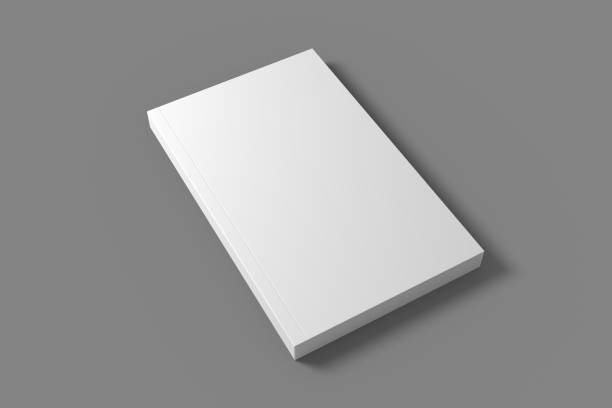 istock Blank 3D illustration of book mock up. 1071025854