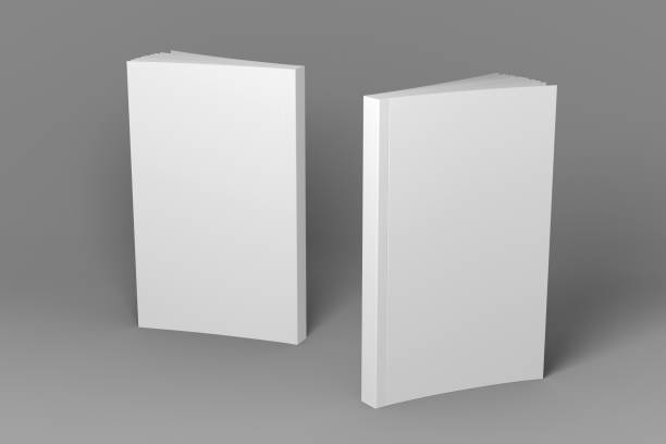 istock Two standing 3D illustration mock-up books. 1071026476
