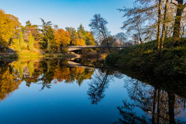 istock Autumn In Hamburg Park With Lake Reflection 1071028028