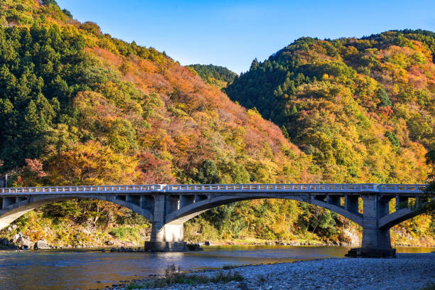 istock Autumn maple leaves, Japanese nature scene 1071037776
