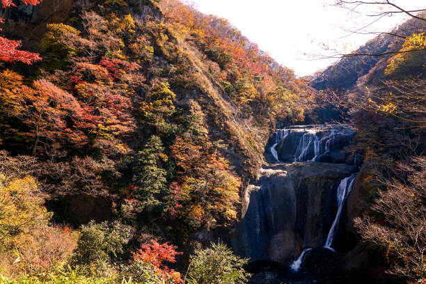 istock Autumn maple leaves, Japanese nature scene 1071037852