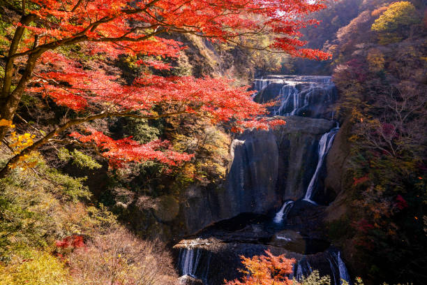 istock Autumn maple leaves, Japanese nature scene 1071037854