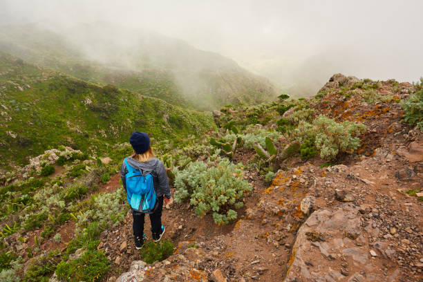 enjoy amazing landscape - conquering adversity wilderness area aspirations achievement imagens e fotografias de stock