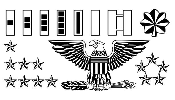 Military Army Officer Rank Insignia Set of American military army officer ranks insignia badges icons gi icon stock illustrations
