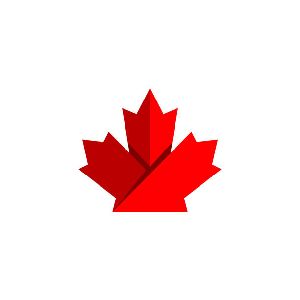 illustrazioni stock, clip art, cartoni animati e icone di tendenza di illustrazione vettoriale foglia d'acero - leaf canadian culture maple leaf canada