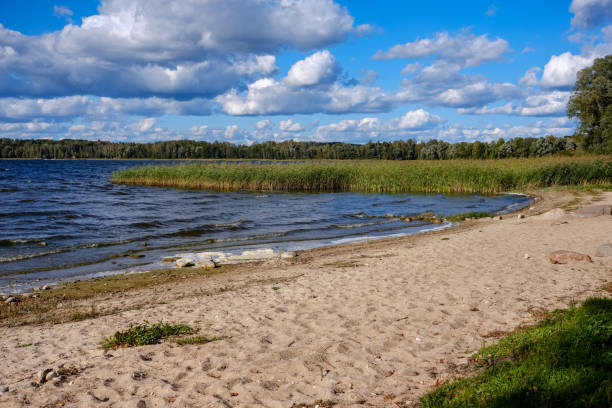 istock panoramic sea beach view in summer 1071042842
