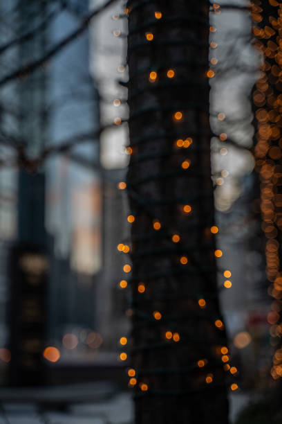istock Bokeh City Tree with Holiday Lights 1071044138