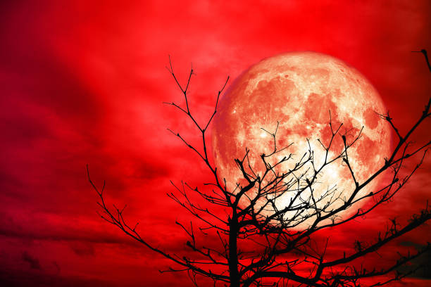 istock full red moon back silhouette branch dry tree red night cloud sky 1071046538