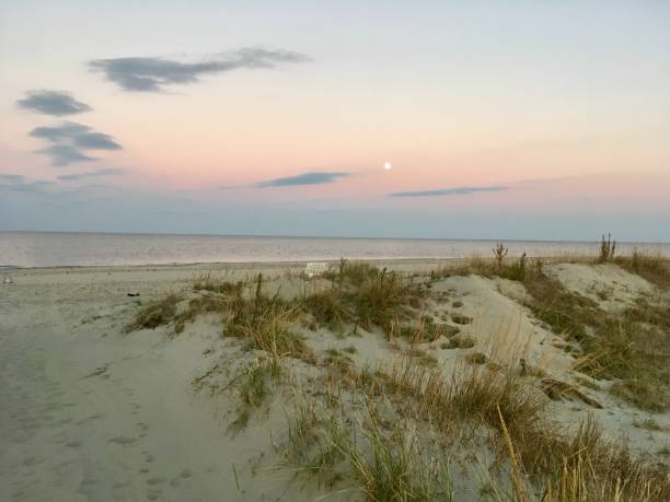 istock Beach sunset over the Delaware Bay 1071048872
