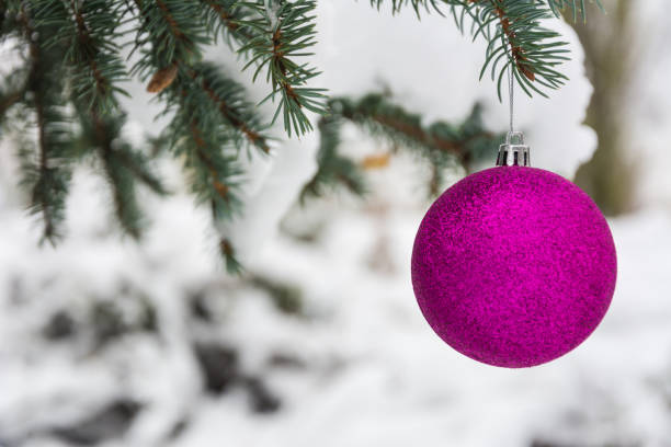 istock Pink Christmas tree ball on a snow-covered tree branch 1071055382
