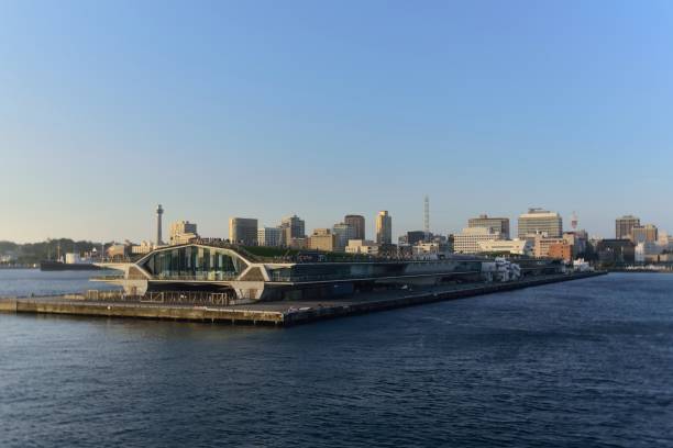A large crowd of local people gather on the roof of the Yokohama cruise terminal to watch our ship come into dock. Also present are the dockworkers waiting to secure the ship to the pier so we can go ashore and spend money for the locals.  Photo by Bob Balestri dba Joesboy