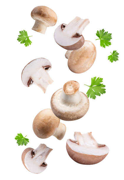 летающие грибы изолированы на белом фоне - white close up macro cooking стоковые фото и изображения
