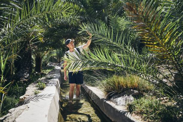 istock Tourist walking in water between palm trees 1071069666