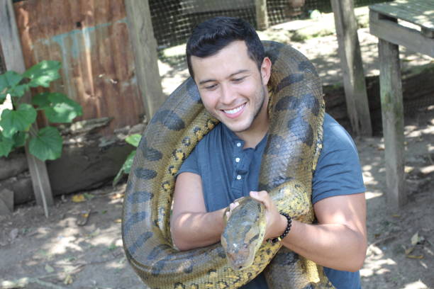 istock Man with a giant Anaconda around his neck 1071079102