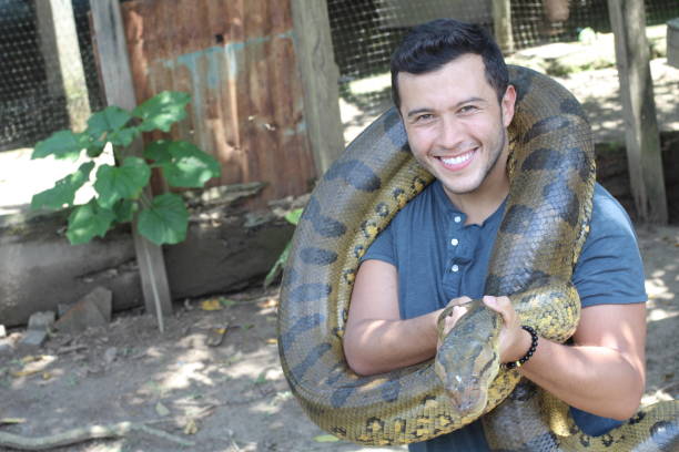 istock Man loving his gorgeous Anaconda 1071079112