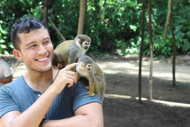 istock Man establishing contact with wild monkeys 1071079266