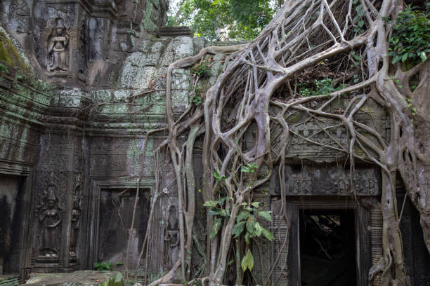 istock Ta Prohm Angkor Wat Cambodia 1071087526