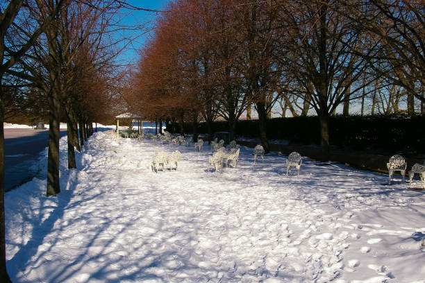 Some images from New York City during January 2011 when it snowed very hard