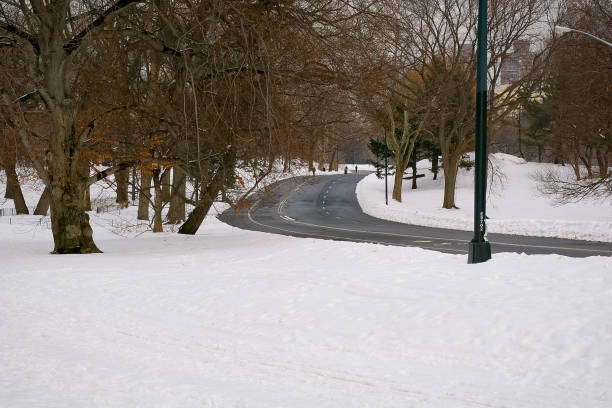 Some images from New York City during January 2011 when it snowed very hard
