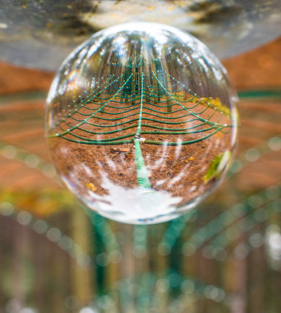 istock Kids Play equipment looking through a crystal ball 1071095836