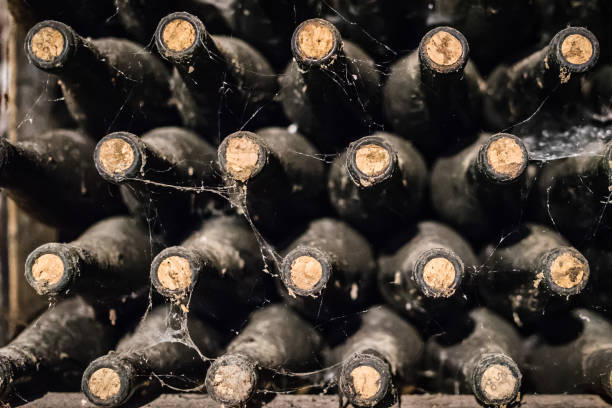 Wine Bottles in the Cellar, Old Wine, Brandy, traditional, drink