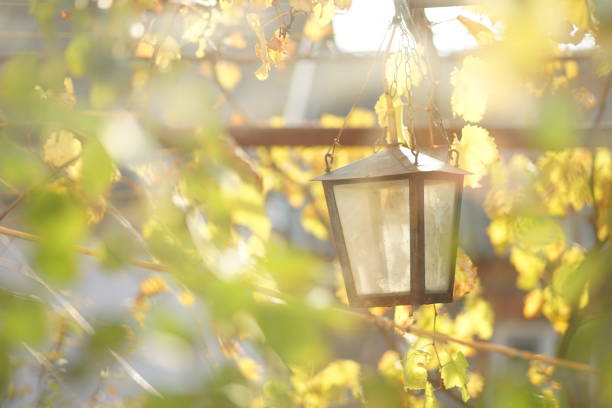 street lamp hanging under a grape arch in an autumn sunny day
