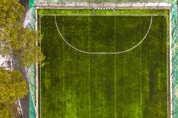 istock A stadium with a green soccer field, aerial view 1071099582